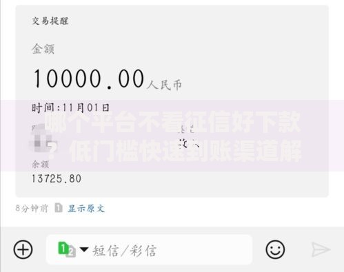 哪个平台不看征信好下款？低门槛快速到账渠道解析