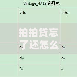 拍拍贷忘了还怎么办？逾期后果及补救措施全解析