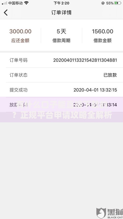 有什么口子能直接下款的？正规平台申请攻略全解析
