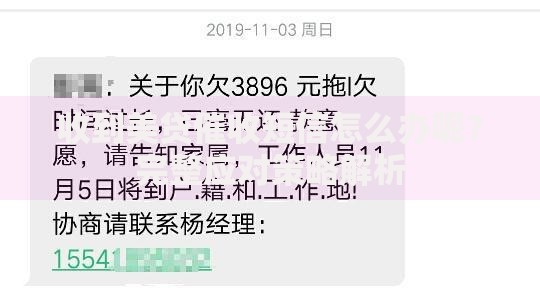 收到美贷催收短信怎么办呢？完整应对策略解析
