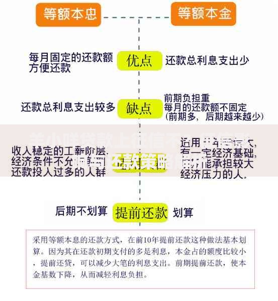 羊小咩贷款上征信不？征信影响与还款策略解析
