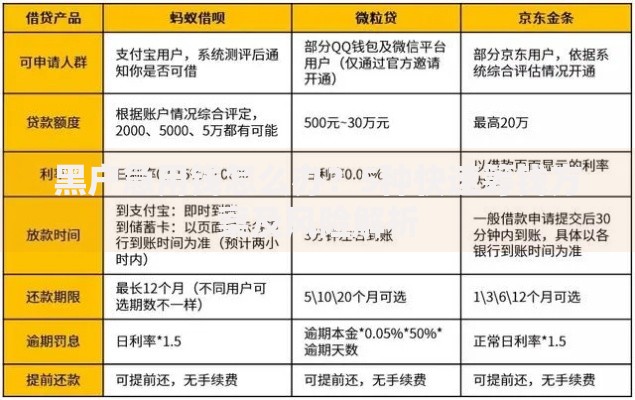 黑户急用钱怎么办？5种快速筹钱方案及风险解析