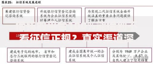 借钱的平台100%能借到不看征信正规？真实渠道深度解析