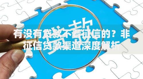 有没有贷款不看征信的？非征信贷款渠道深度解析