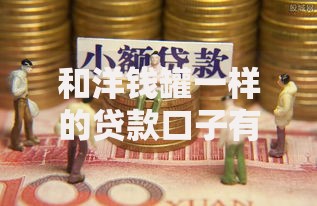 和洋钱罐一样的贷款口子有哪些？全方位对比解析
