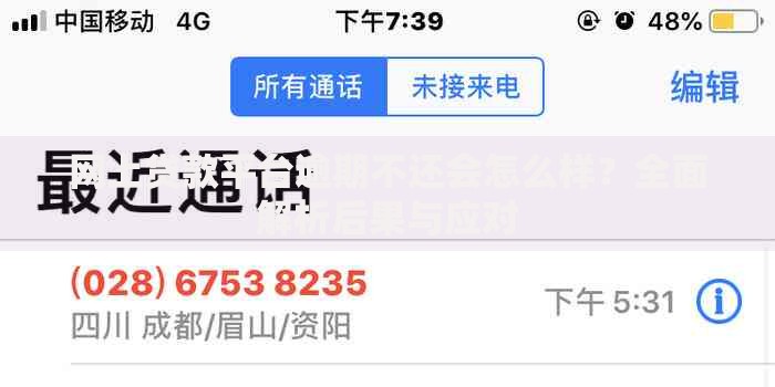 网上贷款平台逾期不还会怎么样？全面解析后果与应对