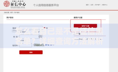 怎么看自己是不是征信黑名单？详细查询方法解析
