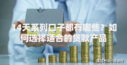 14天系列口子都有哪些？如何选择适合的贷款产品