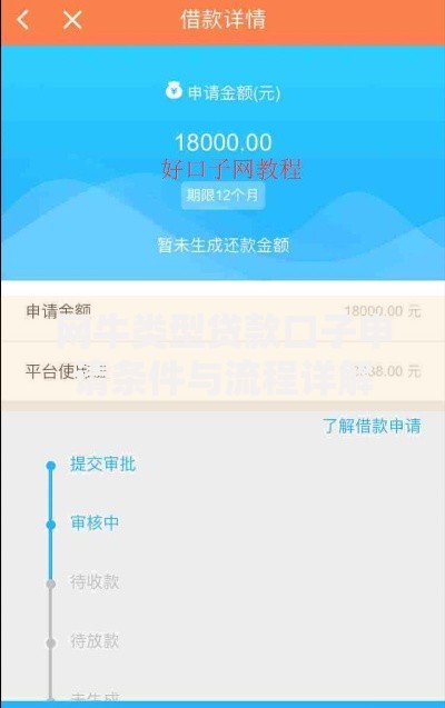 网牛类型贷款口子申请条件与流程详解