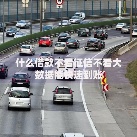 什么借款不看征信不看大数据能快速到账