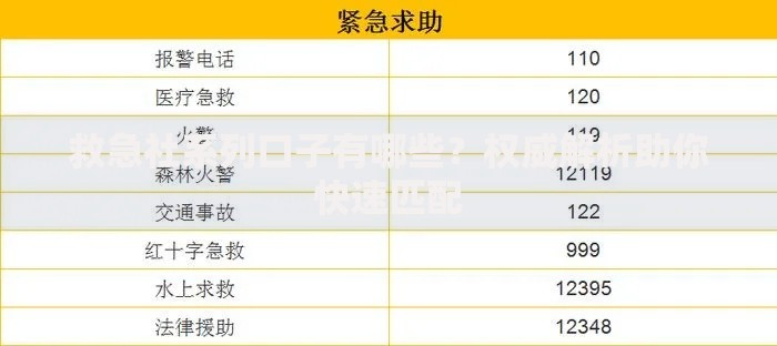 救急社系列口子有哪些？权威解析助你快速匹配