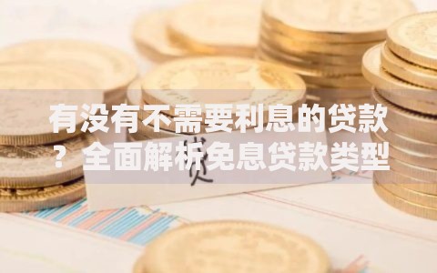 有没有不需要利息的贷款？全面解析免息贷款类型与申请条件
