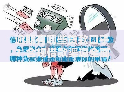 逾期有哪些贷款口子？合规借款渠道全面解析
