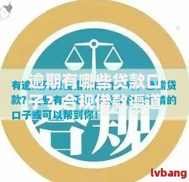 逾期有哪些贷款口子？合规借款渠道全面解析