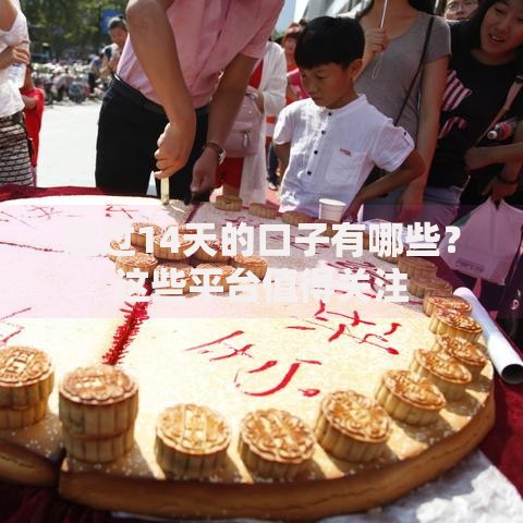 超过14天的口子有哪些？这些平台值得关注