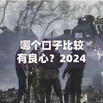 哪个口子比较有良心？2024年贷款平台良心测评指南