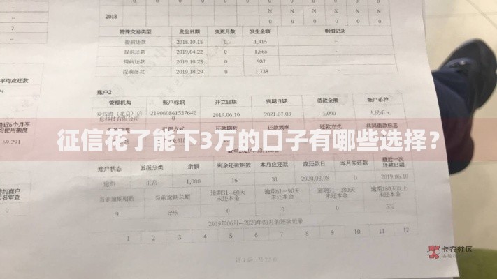 征信花了能下3万的口子有哪些选择？
