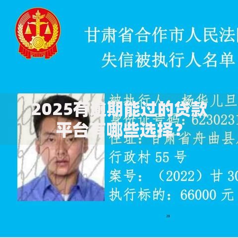 2025有逾期能过的贷款平台有哪些选择？