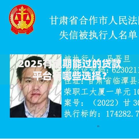 2025有逾期能过的贷款平台有哪些选择？
