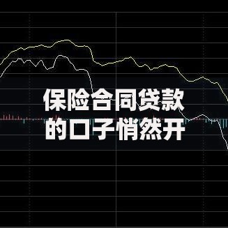 保险合同贷款的口子悄然开启：如何安全解锁资金新渠道
