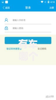 有车哪个平台好下款？车主贷优选方案解析