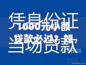 1000元小额贷款必过？如何申请才能快速下款