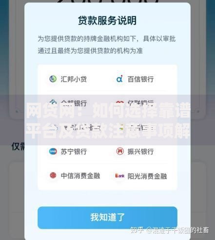 网贷网：如何选择靠谱平台及贷款注意事项解析