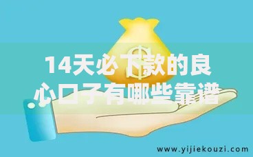 14天必下款的良心口子有哪些靠谱选择？