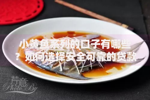 小黄鱼系列的口子有哪些？如何选择安全可靠的贷款渠道