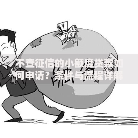 不查征信的小额度贷款如何申请？条件与流程详解