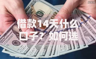 借款14天什么口子？如何选择安全可靠渠道