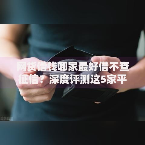 网货借钱哪家最好借不查征信？深度评测这5家平台