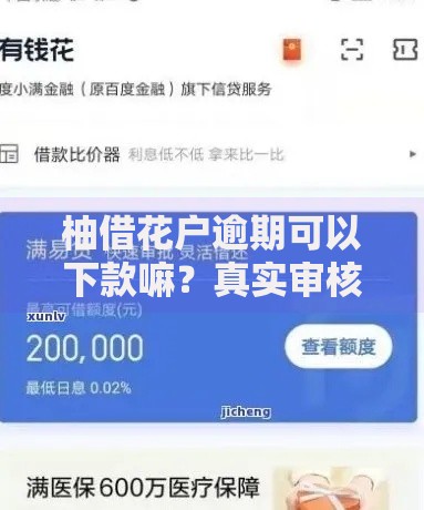 柚借花户逾期可以下款嘛？真实审核要求深度解析