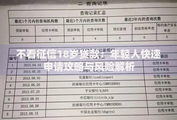不看征信18岁贷款：年轻人快速申请攻略与风险解析