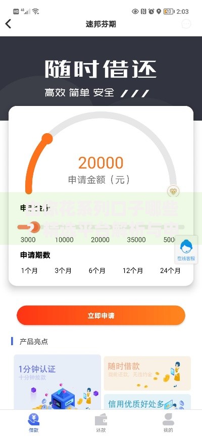 由你花系列口子哪些？精选平台解析与申请攻略