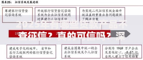 2025年有哪些贷款产品不查征信？真的可信吗？深度解析