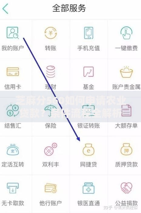 芝麻分560如何申请农业贷款？条件流程全解析