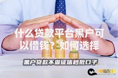 什么贷款平台黑户可以借钱？如何选择安全可靠的渠道