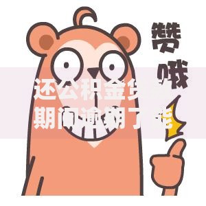 还公积金贷款期间逾期了能贷款吗？逾期后贷款条件解析