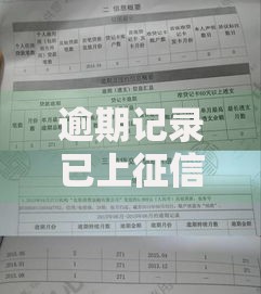 逾期记录已上征信如何申请贷款？解决征信问题全攻略