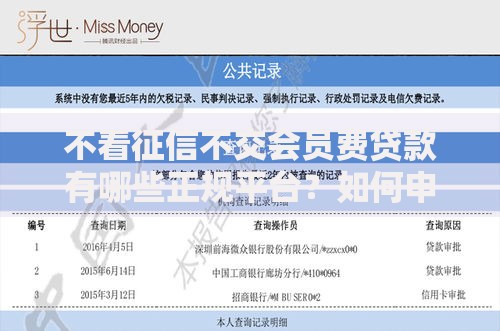 不看征信不交会员费贷款有哪些正规平台？如何申请？
