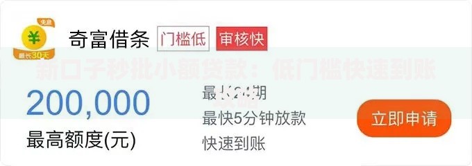 新口子秒批小额贷款:低门槛快速到账攻略 新口子秒批小额贷款:低门槛快速到账攻略