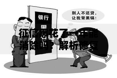 征信黑花了一年能消除吗？解析修复流程与贷款影响