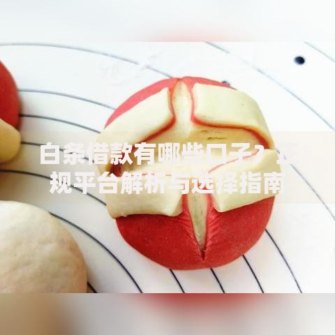 白条借款有哪些口子？正规平台解析与选择指南