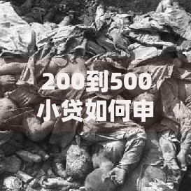 200到500小贷如何申请？条件、利息及风险全面解析