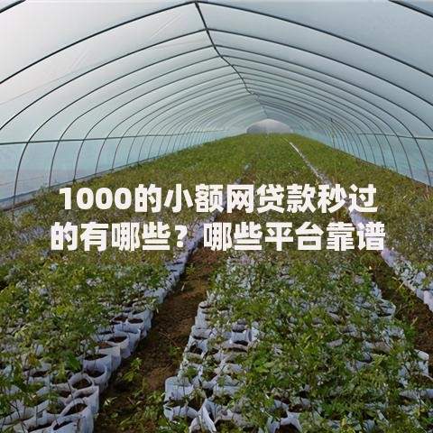 1000的小额网贷款秒过的有哪些？哪些平台靠谱？如何快速申请？