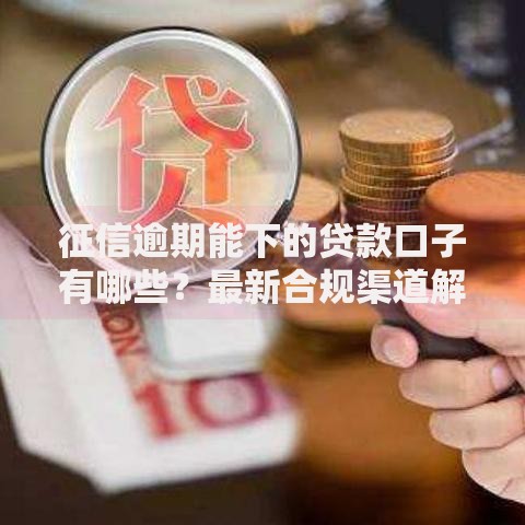 征信逾期能下的贷款口子有哪些？最新合规渠道解析
