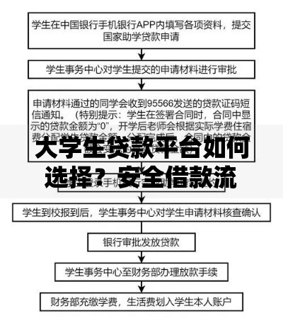 大学生贷款平台如何选择？安全借款流程全解析