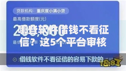 哪些软件借钱不看征信？这5个平台审核宽松下款快