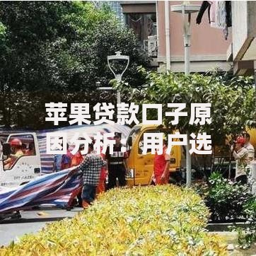 苹果贷款口子原因分析：用户选择背后的核心逻辑是什么？